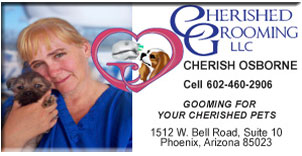 dog groomer 4