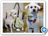 BeforeAfter